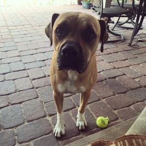 Meet your Posher, Jordan